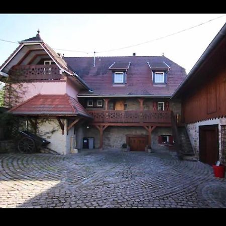 Gite Du Heidenberg Osenbach Экстерьер фото